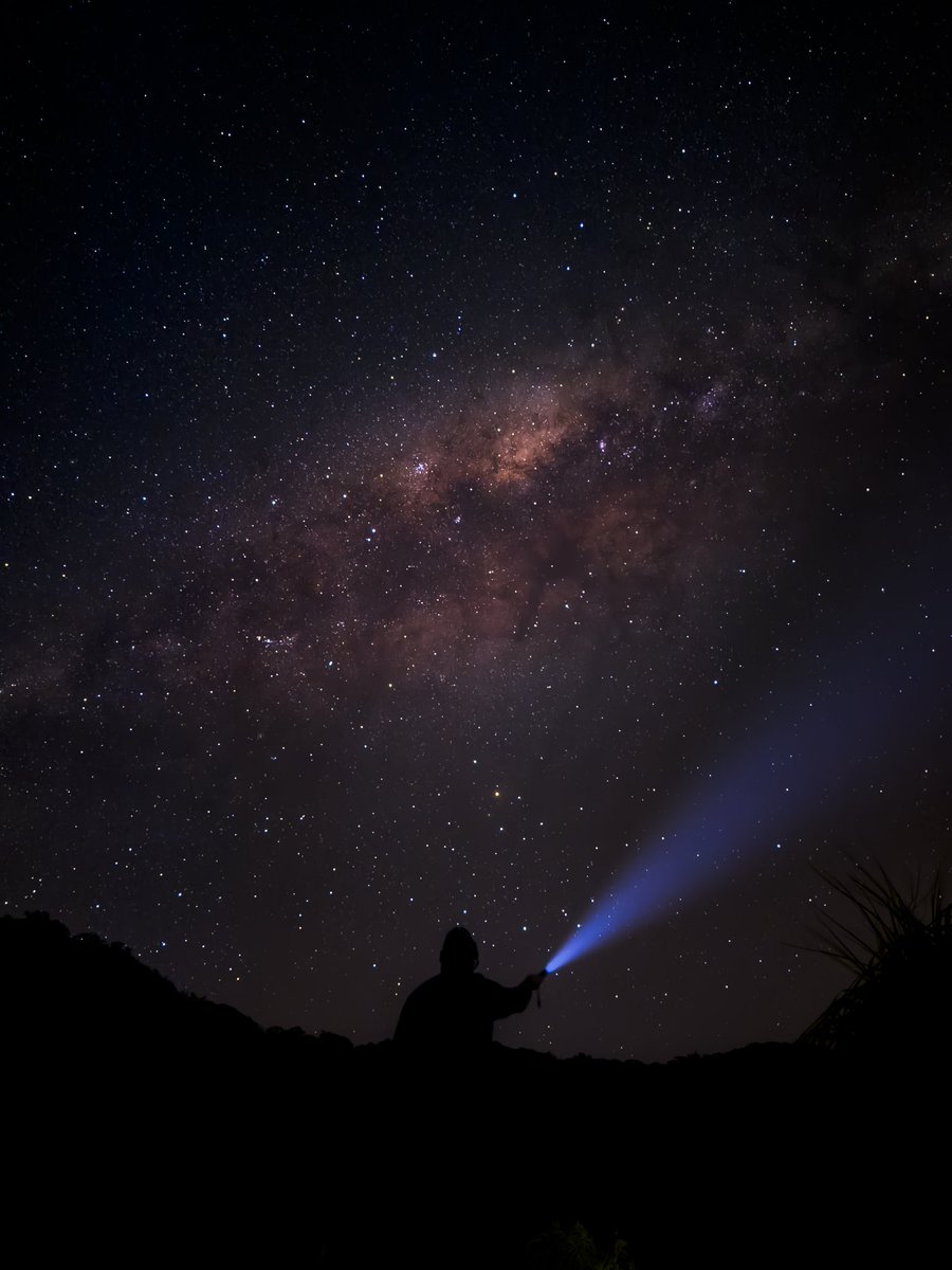 Rob Layton tweet media