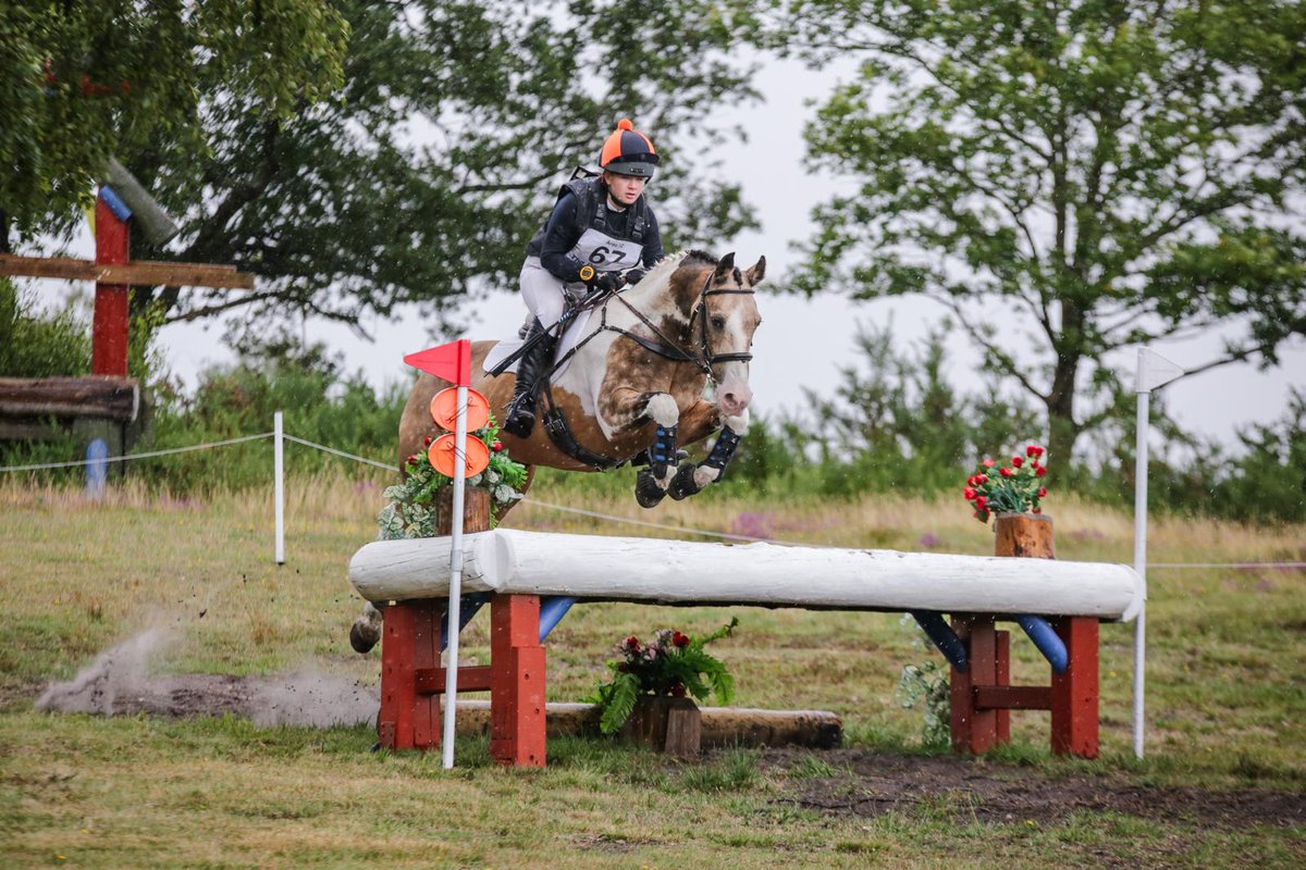 Pipers Equestrian tweet media