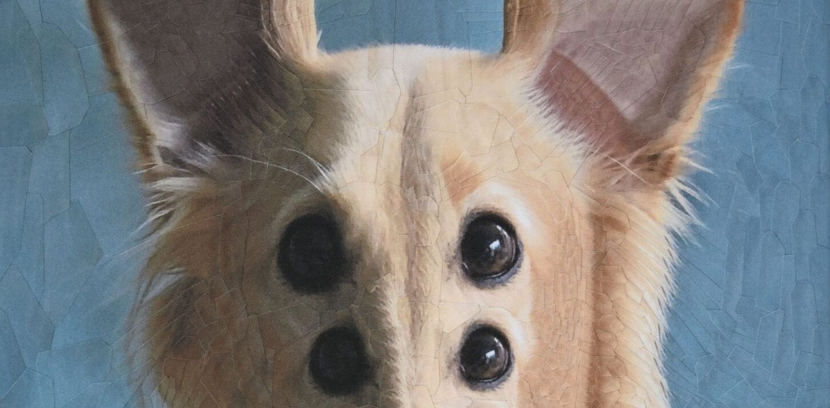 “La natura presenta molti, troppi ordini, rispetto al tentativo umano di riconoscervene una morale e perfino una politica. Ma la domanda resta: perché, dopotutto, questo tentativo persiste? Perché tendiamo irresistibilmente a pensarla così?”. iltascabile.com/scienze/natura…