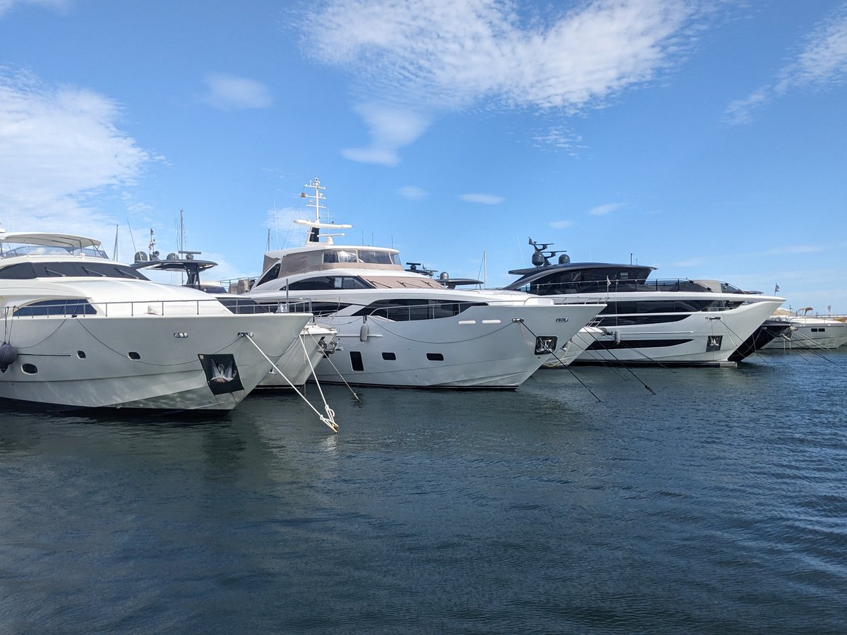 Would this count as a case of 🔵 green-washing? The most expensive yacht marina in Spain, Puerto Banus, advertising species protection and the creation of small artificial habitats...