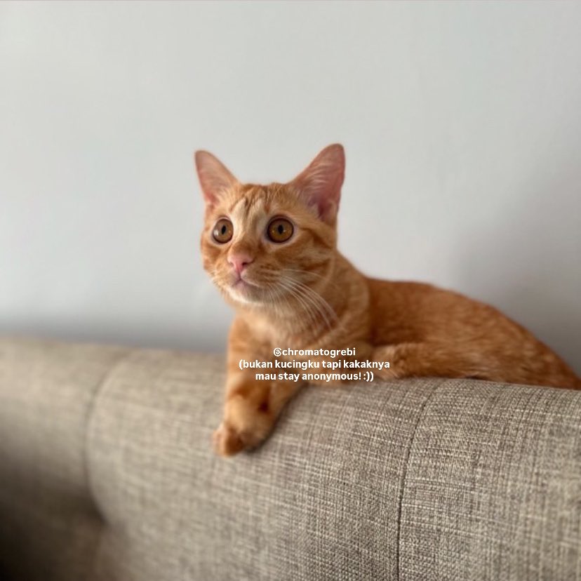 Erotik massaj shaxsiy reklama