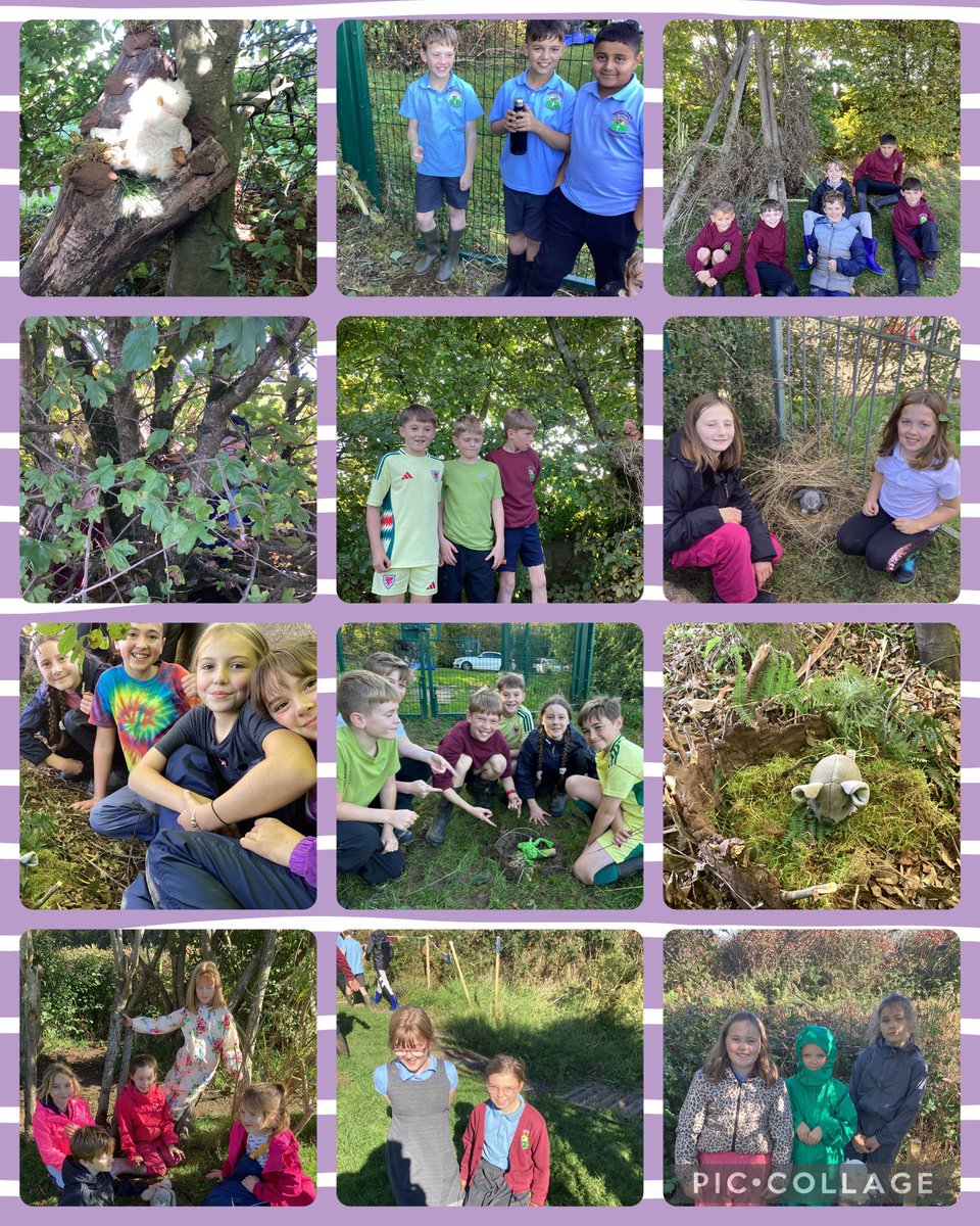 LlansannorPS's tweet photo. What a creative group of children we have in PS3! Look at their fabulous habitats they made for woodland creatures. #explorers #creativethinkers #forestschool https://t.co/yvB2DRQ6P5
