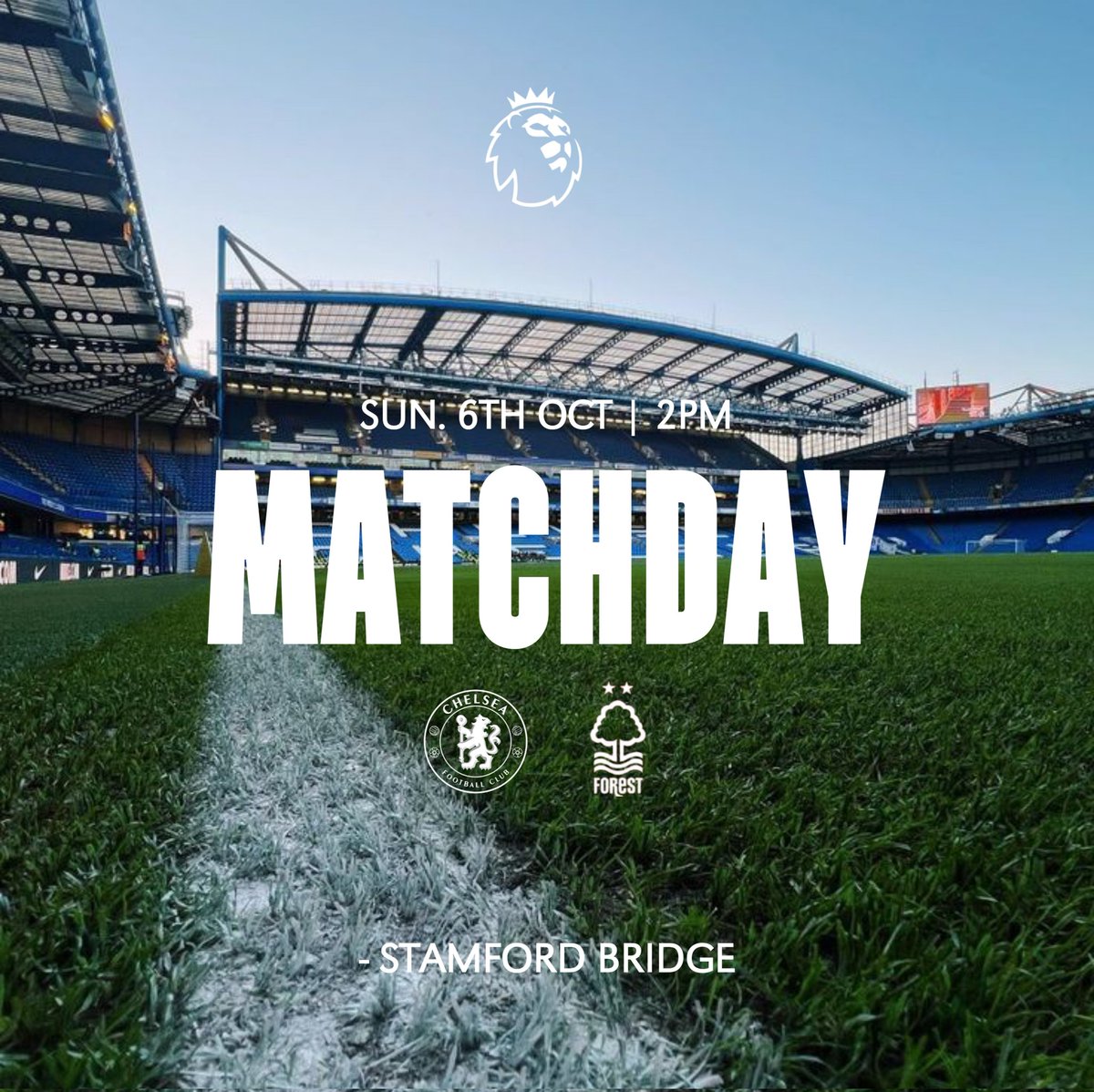 marvellousnaths's tweet photo. Check out these matchday flier designs๐คฉ
Which is your favourite?
#CFCNFO @ChelseaFC https://t.co/EyOcUAK6Qm
