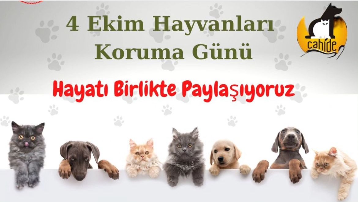 CAHİDE (@cahide_gantep) on Twitter photo 