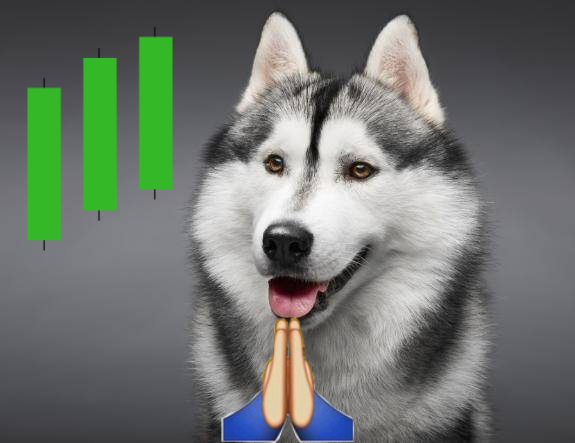 Please give me a 1000x sign🐶