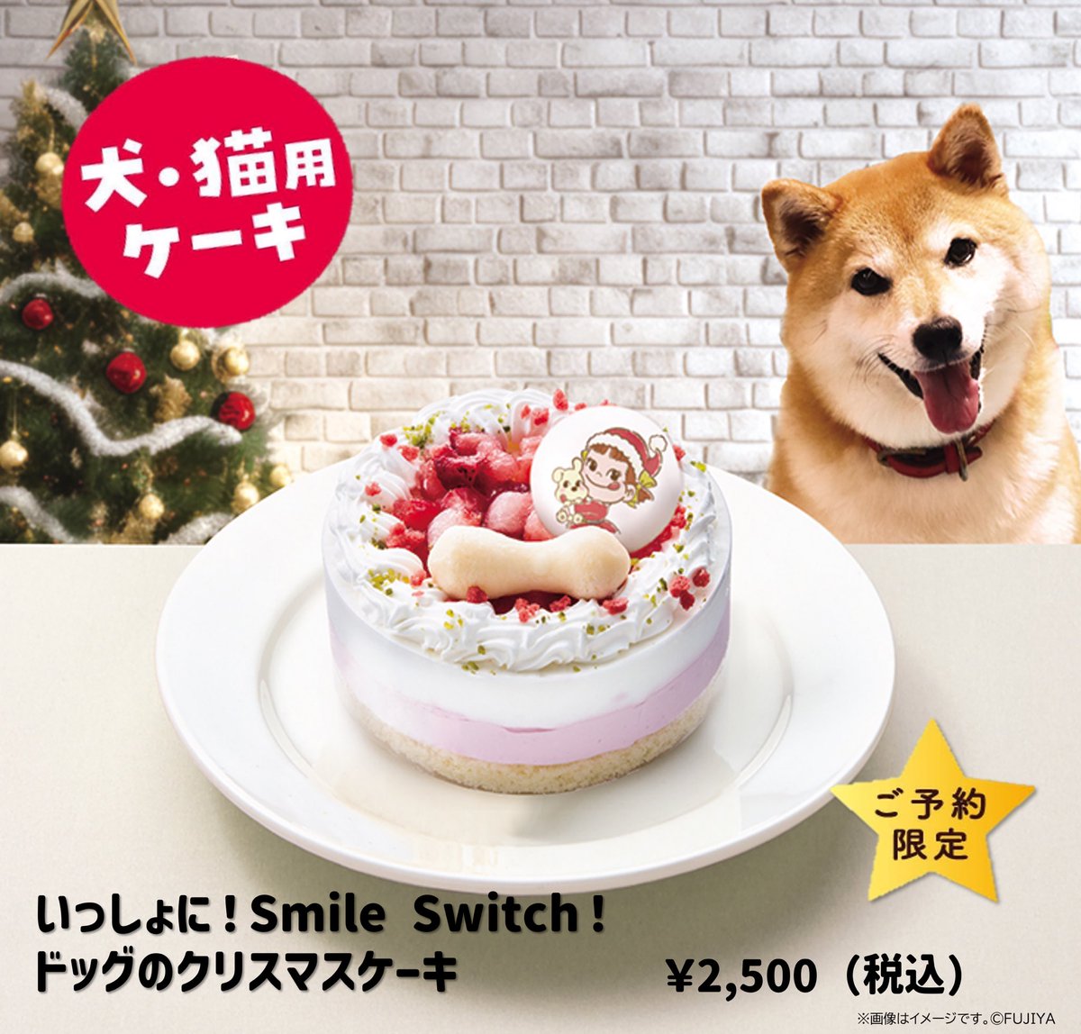 クリスマスホールケーキぼくのスマイル クリスマスケーキ ご予約受付中✨ ＼ 「いっしょに!Smile Switch