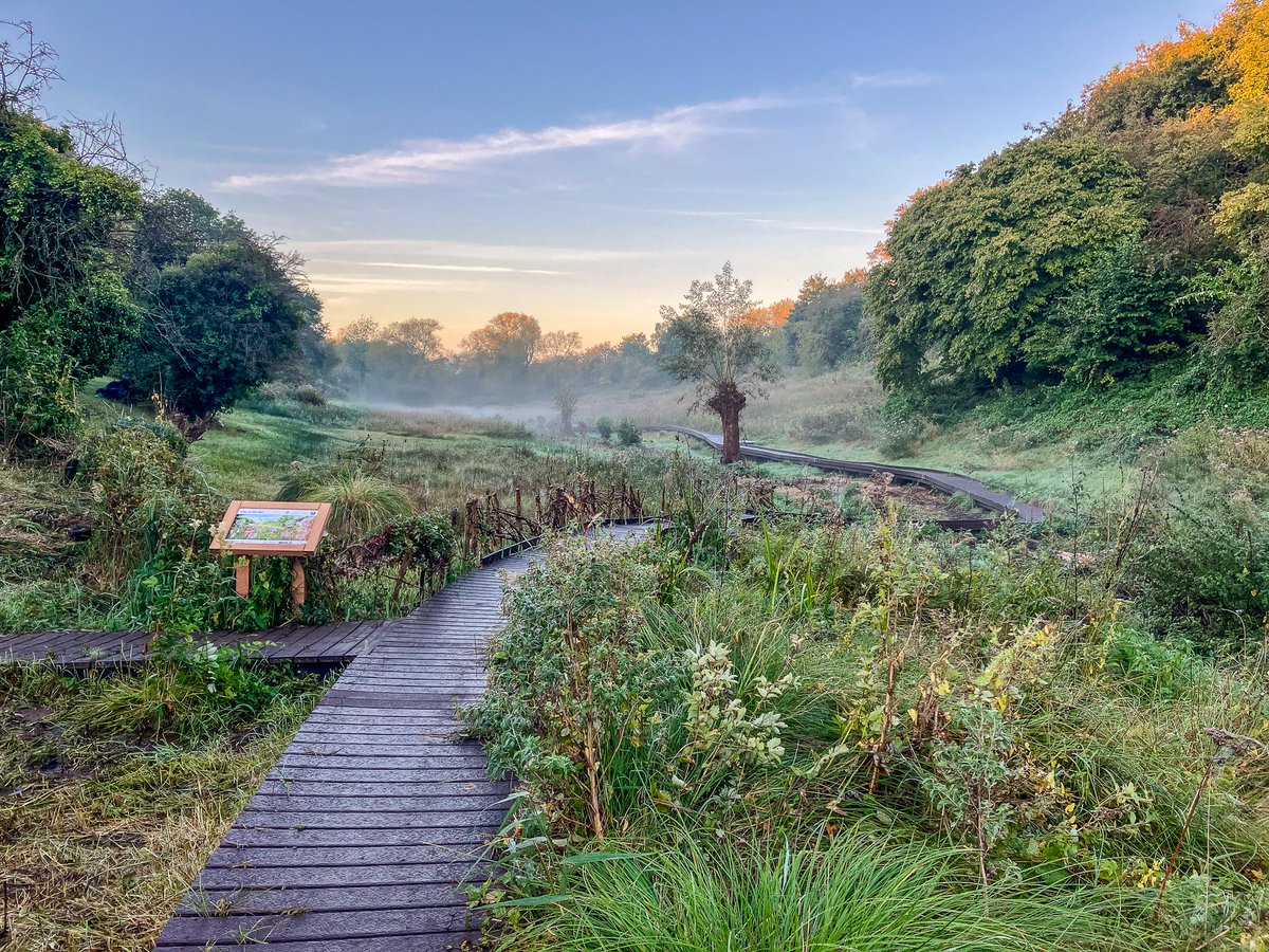 Friends of Lye Valley tweet media