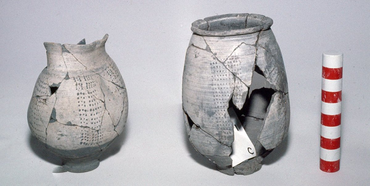 The 'Poppyhead beaker' often had raised dot decorations. This particular style of pot was produced at Highgate Wood in the later period of the 2nd century AD and was shaped like the seed head of a poppy.  

Image courtesy of H. Sheldon