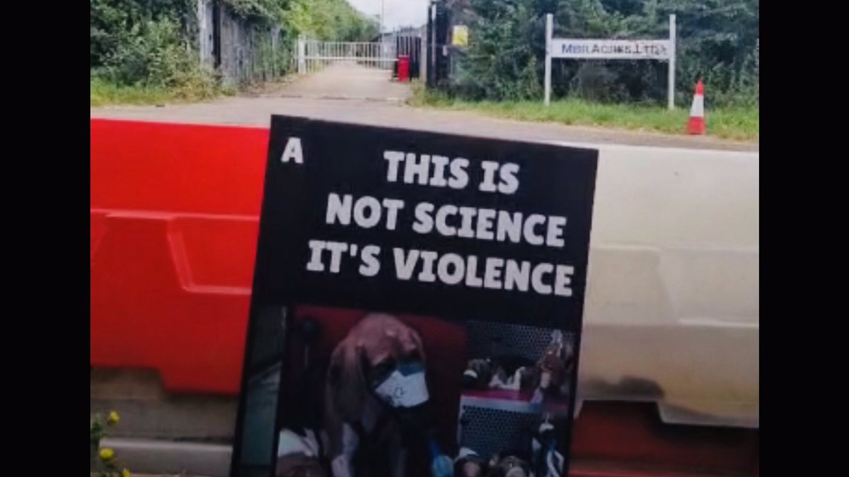 An Impex van has just left MBR Acres laden with beagle puppies. Who ever has placed this *order* has run out of *stock*. Just think about it ‼️‼️‼️‼️ NO DAY IS WORLD  ANIMAL DAY 👇😡😡😡 #AnimalWelfare #closedownMBRAcres #StopAnimalTesting #WorldAnimalDay