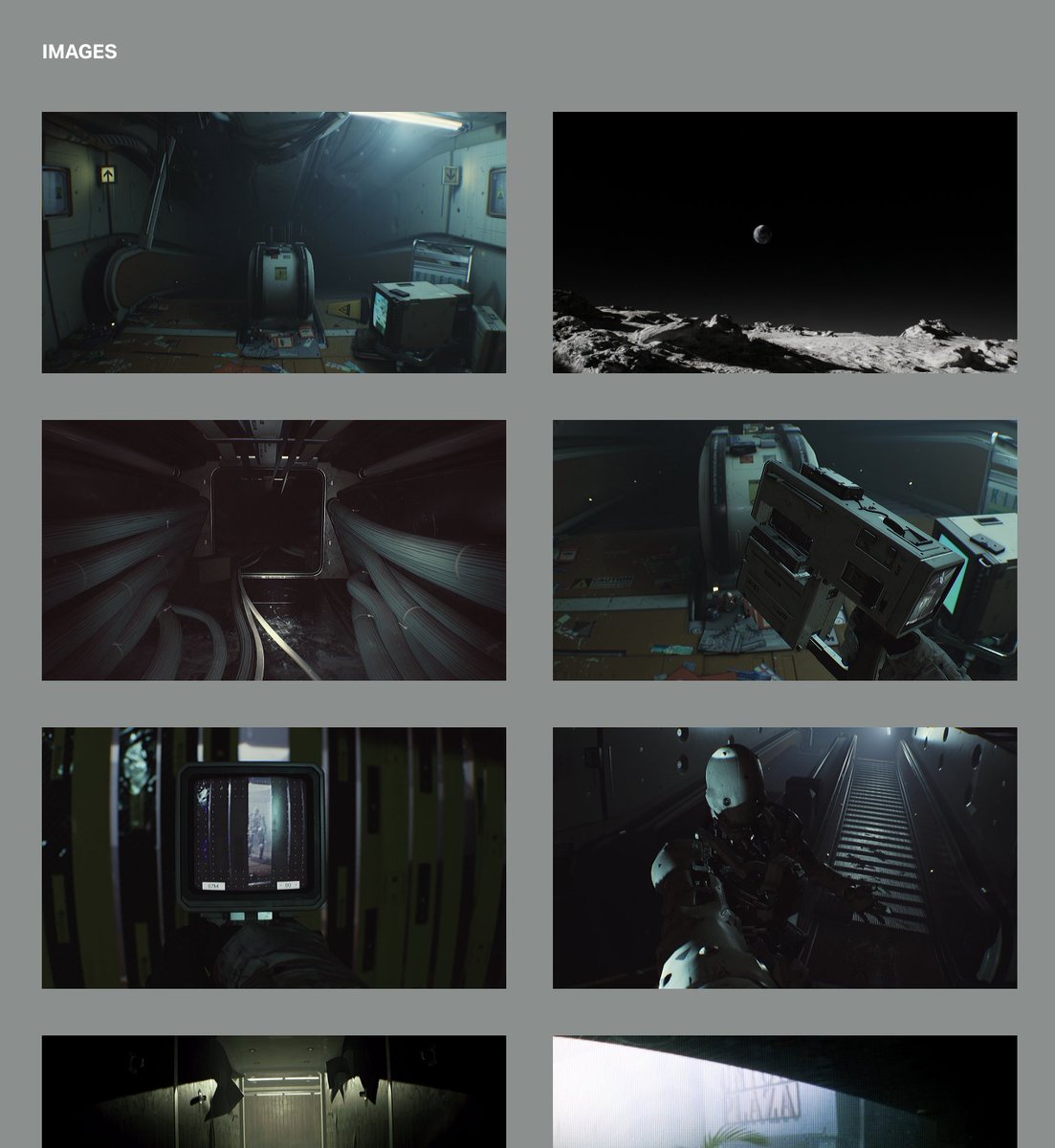 Fleischer tweet media