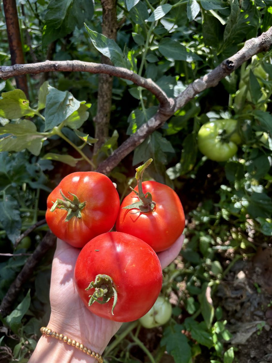 I love fresh fruits🥰