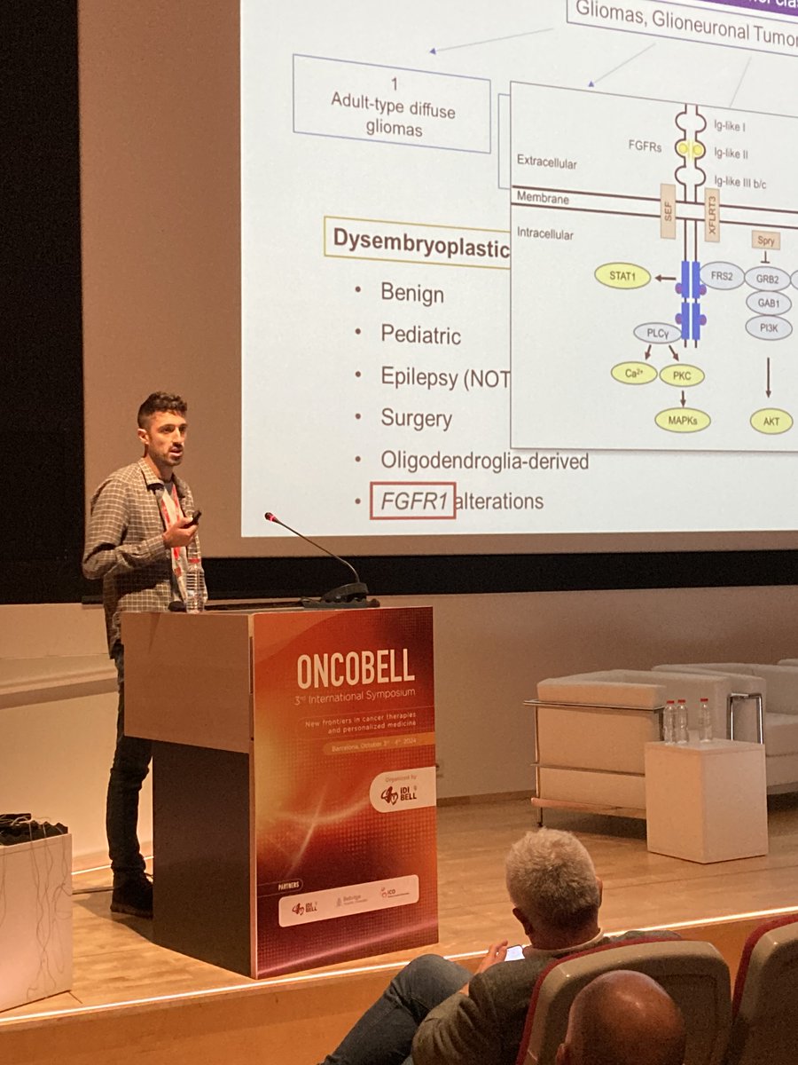 Second day of the #OncobellSymposium, dedicated to discussing and sharing knowledge about new frontiers in #cancer therapies and personalized medicine. The <a href="/hbellvitge/">Hospital Universitari Bellvitge | HUB</a>'s auditorium brings together researchers from the IDIBELL #Oncobell program and international speakers.