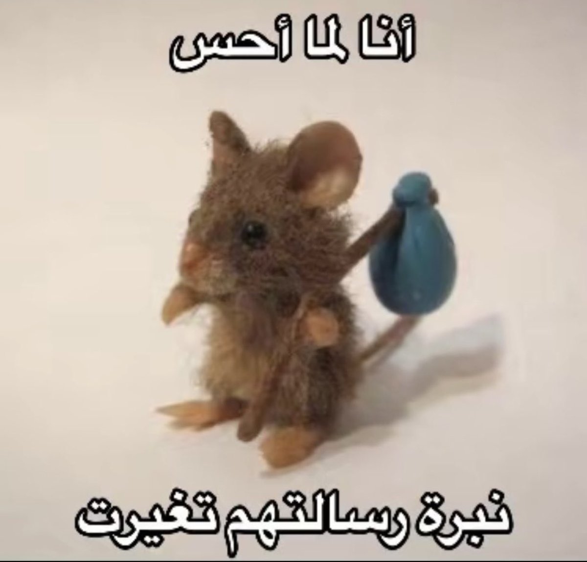 مِس بطوطة (@bttmis95961) on Twitter photo 