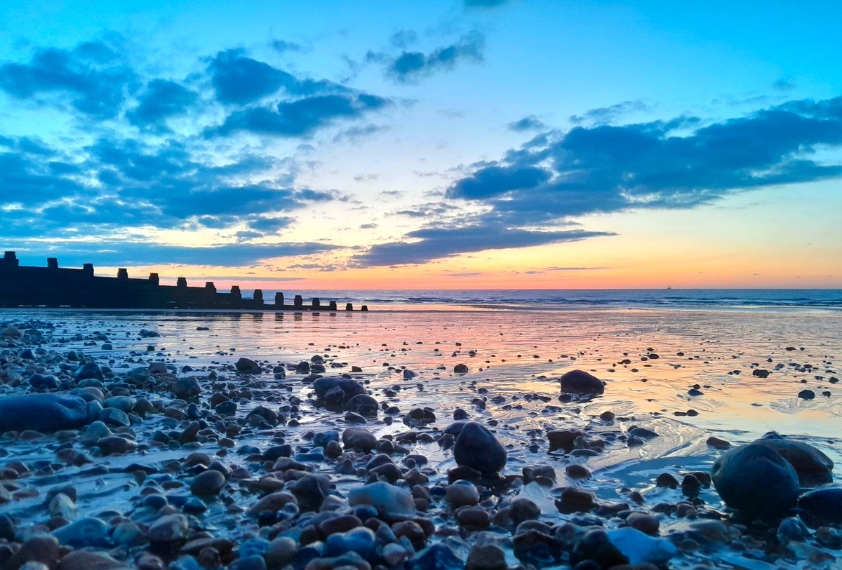 Sharing Life With Nature tweet media