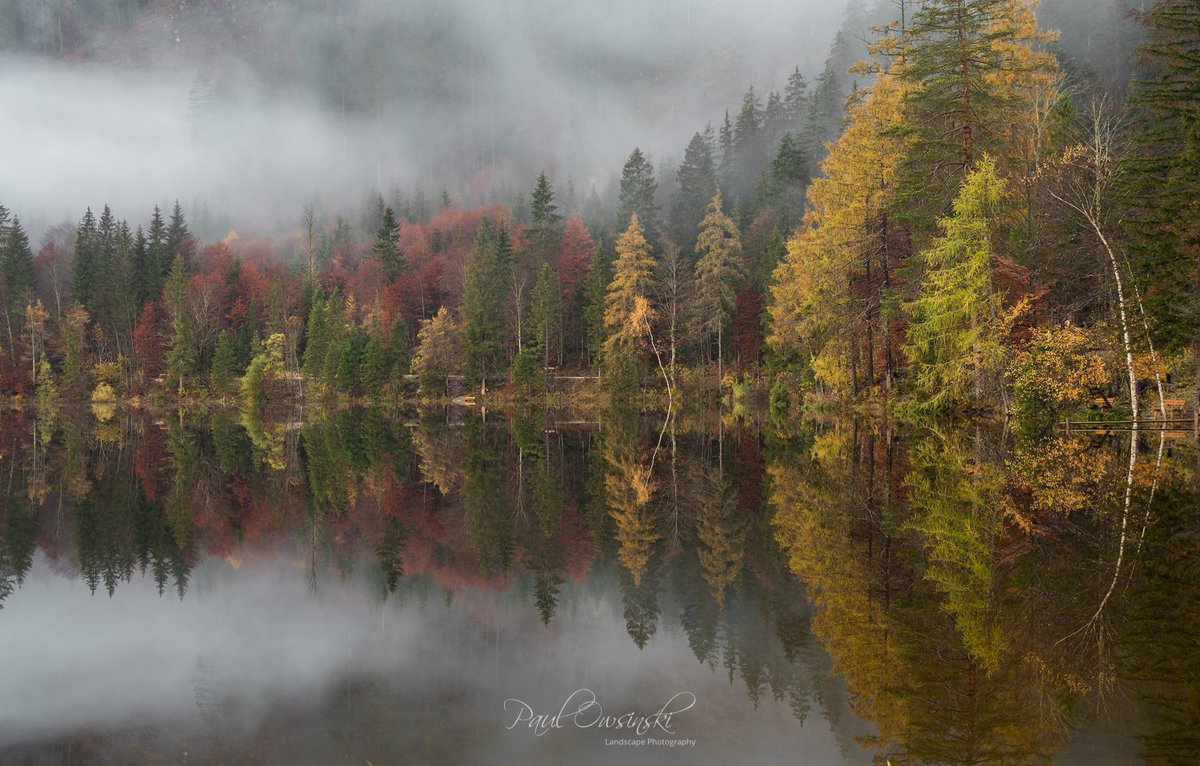 PhotographPaul's tweet photo. Autumn is a time when nature paints the world with its most beautiful 🍂🍁 colors. https://t.co/wCW7nwBeY1