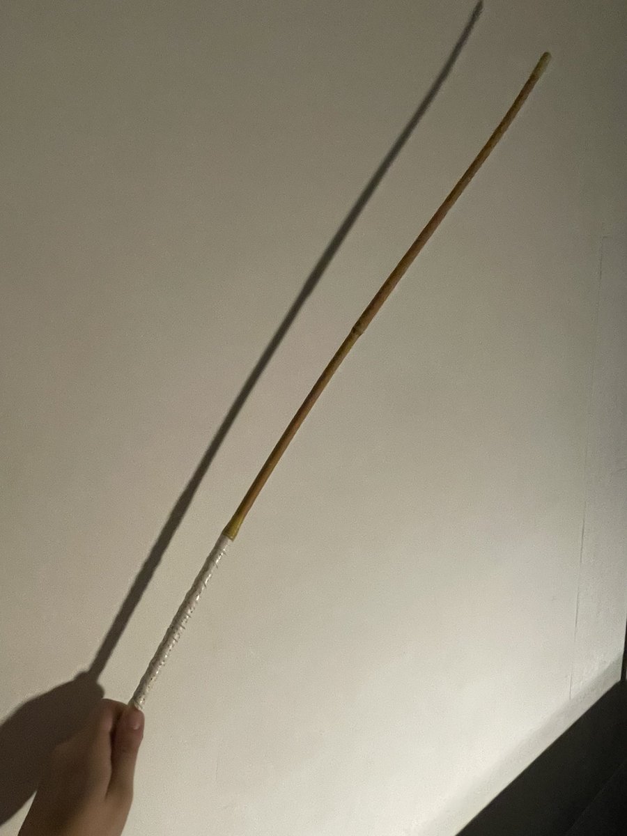 【特别企划】以后我将更新一些SP的工具介绍

no.8:藤条

藤条是我最喜欢的工具，它也是很多家庭必备惩罚小孩的工具。我最喜欢的一点是它抽打在身上能留下很多印记，而且久久不能恢复，藤条泡水后疼痛加倍。