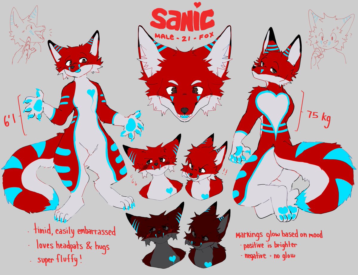 SanicPL2's tweet photo. @Heartglow_Roo I wish great luck to everyone participating! whatever happens i'd love to see the winners design on one of these. https://t.co/8dbSTd009c