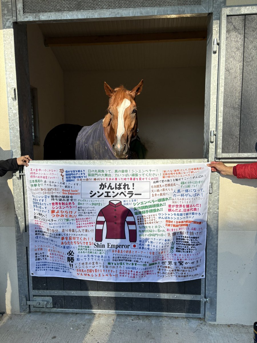 皆さんの応援が力になります！
凱旋門賞、頑張ります！