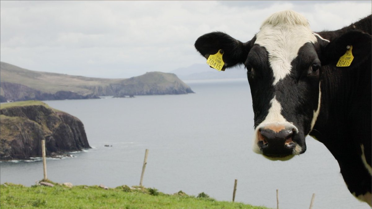 dairymaster's tweet photo. Happy World Animal Day! 🐄🐈🐕
Today, we’re celebrating all the incredible animals that make farming life so special.
No prizes for guessing which one’s our favorite! 🐮😉
#WorldAnimalDay #FarmLife #Dairymaster #dairyfarming #farming #dairyfarm #dairycow https://t.co/e9bREMrFJY