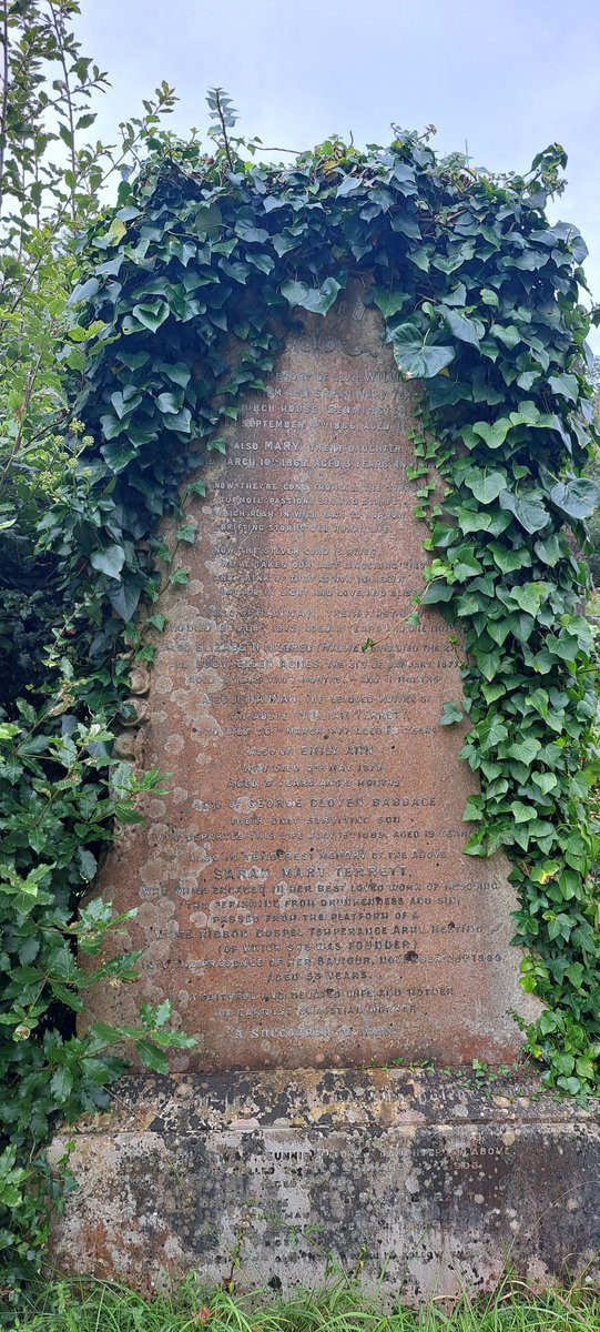 @arnosvalecem tweet media