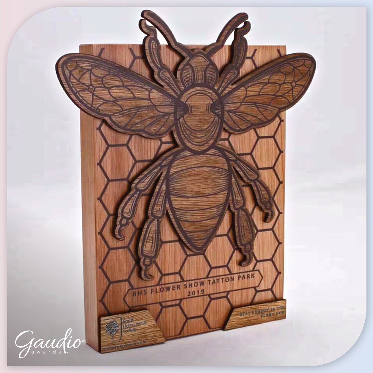 New blog: 5 benefits of sustainable wooden trophies

Event organisers are seeking new innovative ways to reduce their impact on the environme...

5 Benefits Of Sustainable Wooden Trophies | Gaudio

#EventProfsUK #customtrophies #sustainabledesign #sustainableevent #woodentrophies