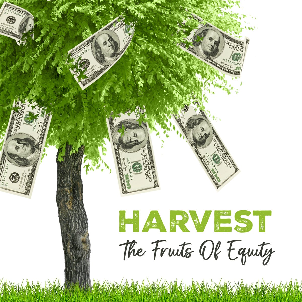 Your equity has been silently growing, like a secret garden. A cash-out refinance allows you to harvest the fruits of that growth. Let's explore what that means for you. Contact me today! 📲😎👍#financialfreedom #newhome homeownership