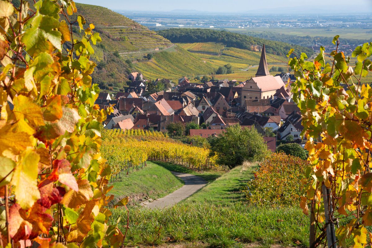 VisitFrenchWine's tweet photo. Autumn has arrived in the French vineyards, painting the landscape in vibrant hues of red and gold. 🍂✨ 

Cheers to the heart of winemaking and the beauty of fall! 💛🧡

📍Périgord 

📸 Ekix / AS

#VisitFrenchWine #ExploreFrance https://t.co/gFcVNT8cSs