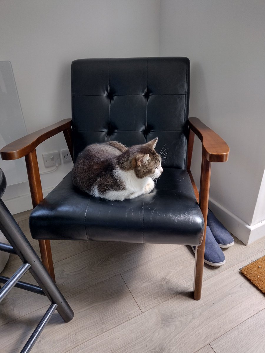 Chris Hall - SALT tweet media