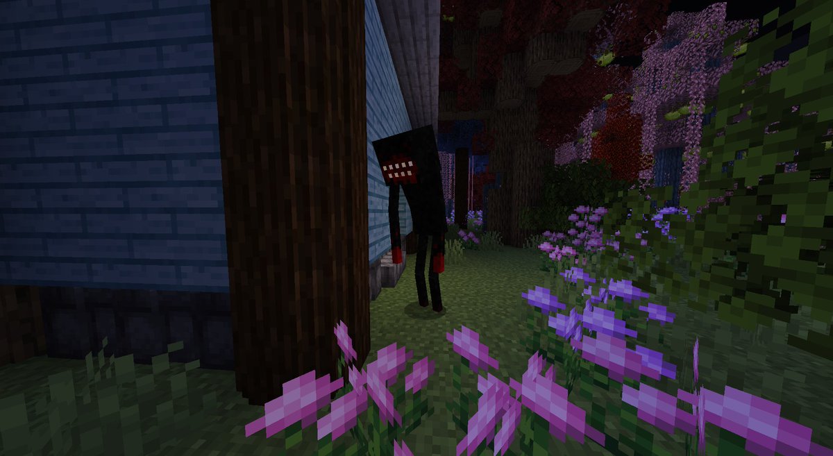 AstraSMP • S7 tweet media