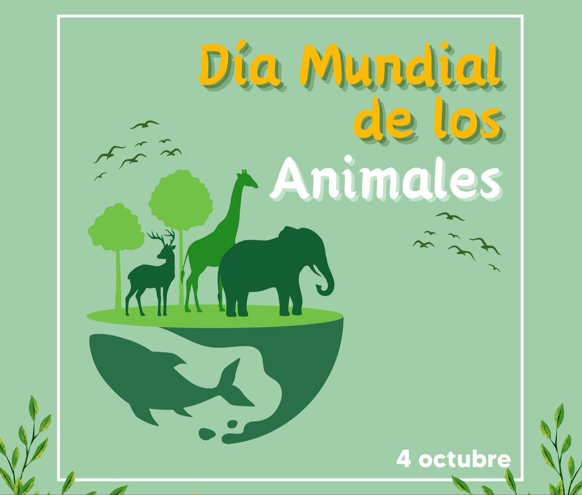 En el Día Mundial de los Animales recordamos que no basta con normas jurídicas para su protección y bienestar: atenderlos adecuadamente es parte de lo que nos define como seres humanos. #CubaPorLaVida