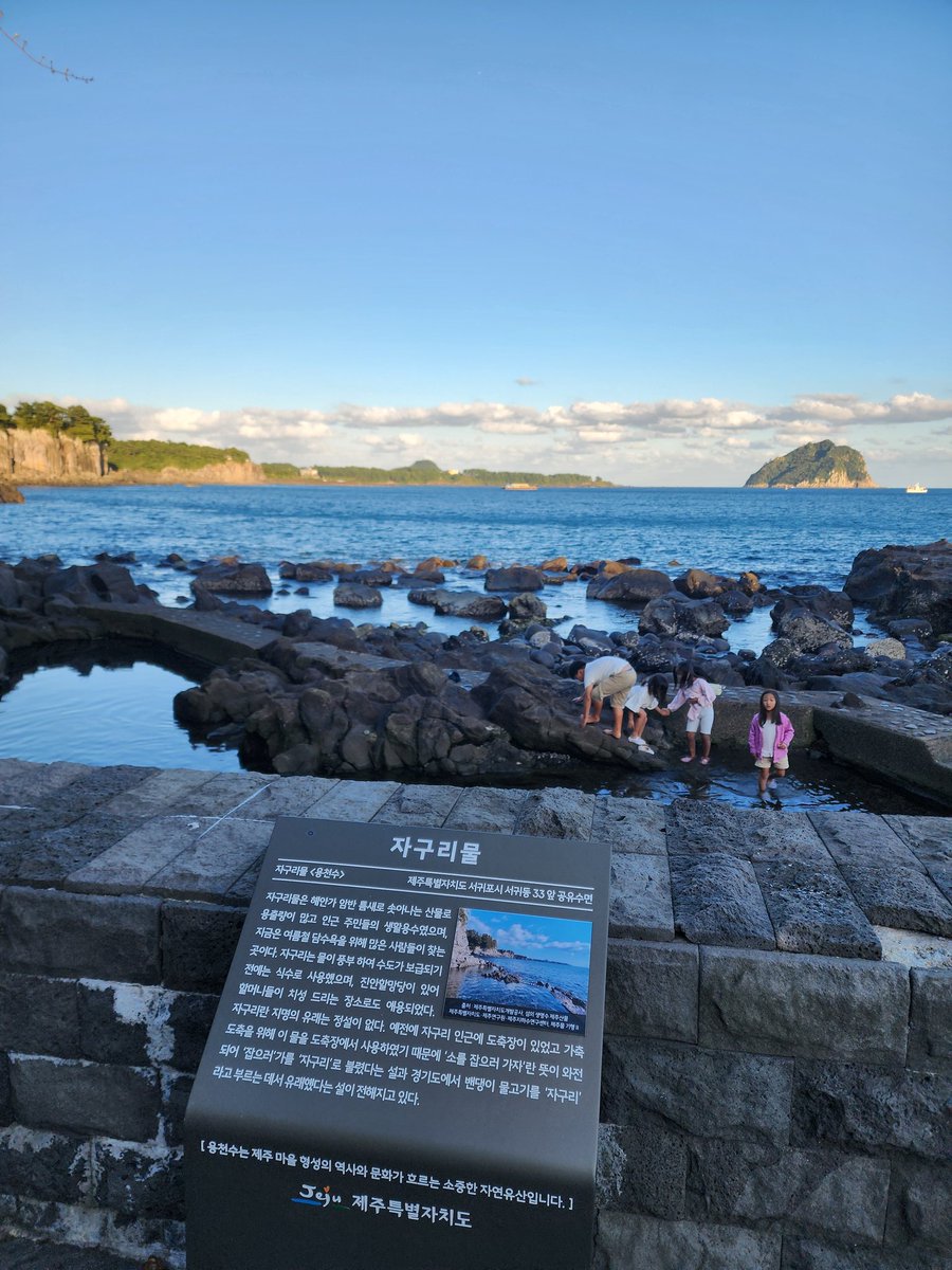 나 나름 제주살이 잘하고 있지.....???
.
.
.
.
.
 
.
#제주도 #제두 #서귀포 #한달살이 #일상 #일탈 #DAY6_3RD_WORLDTOUR