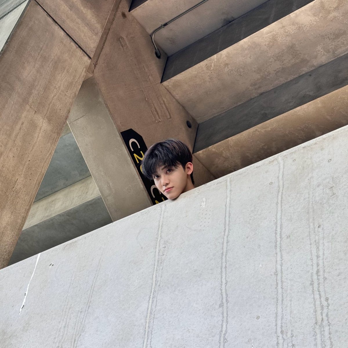 fallinkmm's tweet photo. 🐱 : hello https://t.co/P0Iclzff8o