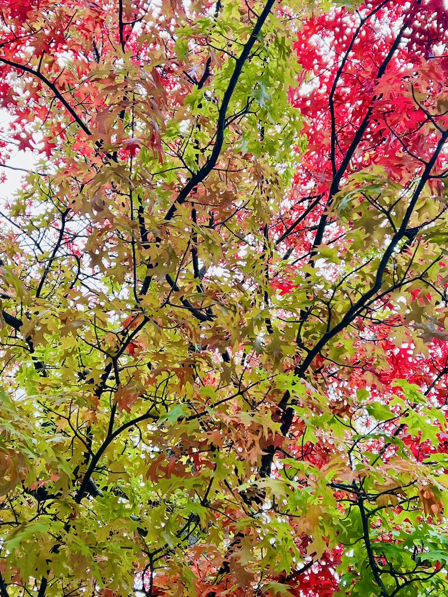 Very happy to have had the opportunity to visit the  NZZ today, the oldest newspaper in #Switzerland.