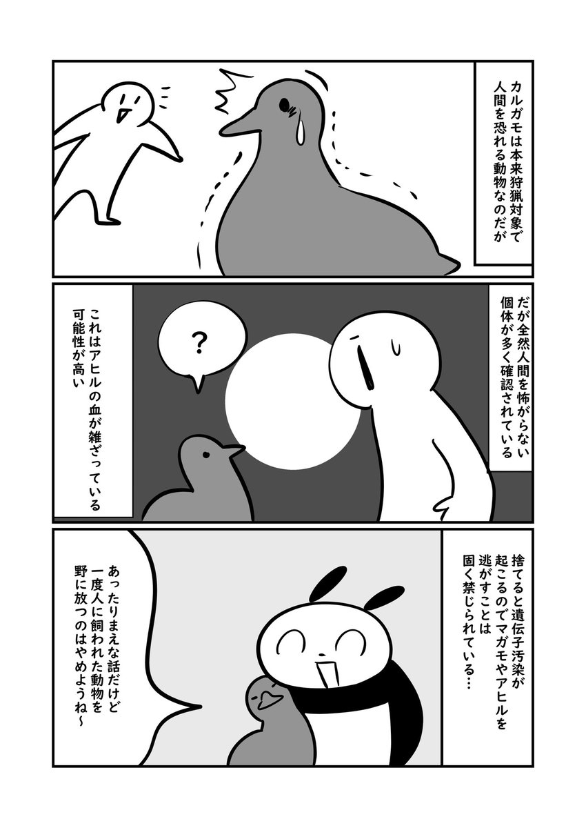 合鴨のかもちはハーフ 2/2 