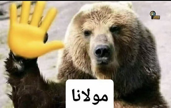 AboRyo69's tweet photo. #حرق_ون_بيس 
سكان المدينه مع اي حيوان يشوفونه https://t.co/zV848I1Zt2