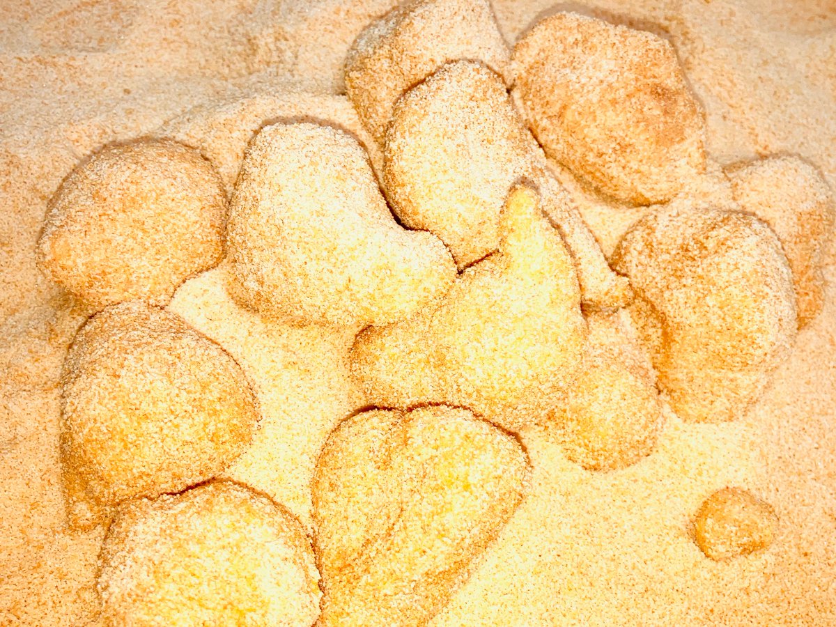 🎁ドーナツ１００個＋もちキナコ３０個 ＋1000円ギフト券🎁No.105
（１名様🤩）

応募方法： RT

〆切：3000RT❗️

抽選：どんぐりコロコロ占い🎯