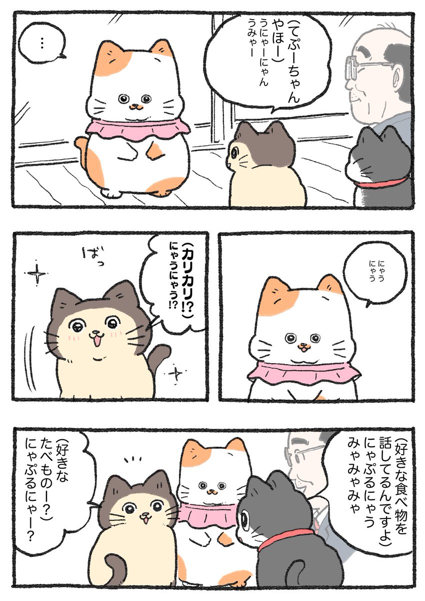 ねこに転生したおじさん。その562