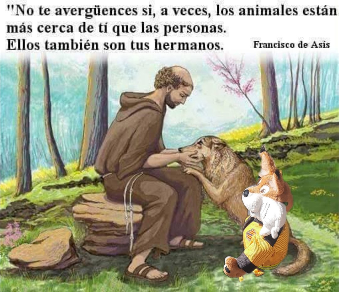 LincedelaPRL's tweet photo. Hoy enviamos un especial reconocimiento a aquellos que cuidan de la naturaleza y de todos nosotros. El 4 de octubre celebramos el día del patrón de los #IngenierosForestales #ingenierosDeMontes #AgentesDeMedioAmbiente #Veterinarios. Por la parte que me toca FELIZ PATRÓN, #linprl https://t.co/qBRb6Im6xg
