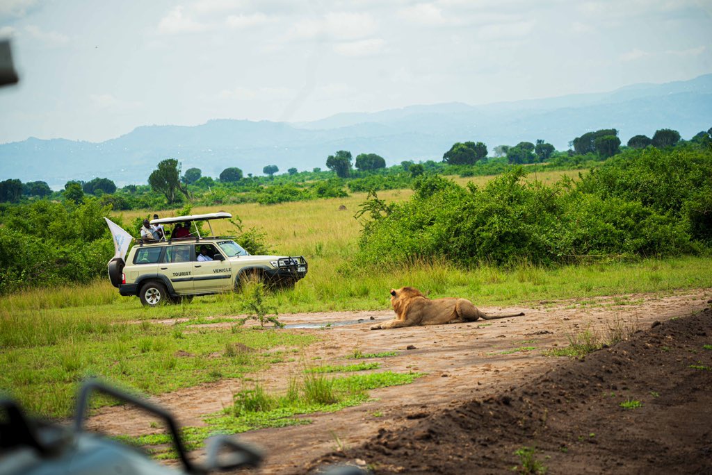 HyggeRelax's tweet photo. “ The weekend is here, and the wild is calling📞🐘🍀” Time to explore, unwind, and embrace the adventure with us. Book with us your next trip . https://t.co/1t3z1DmdFm