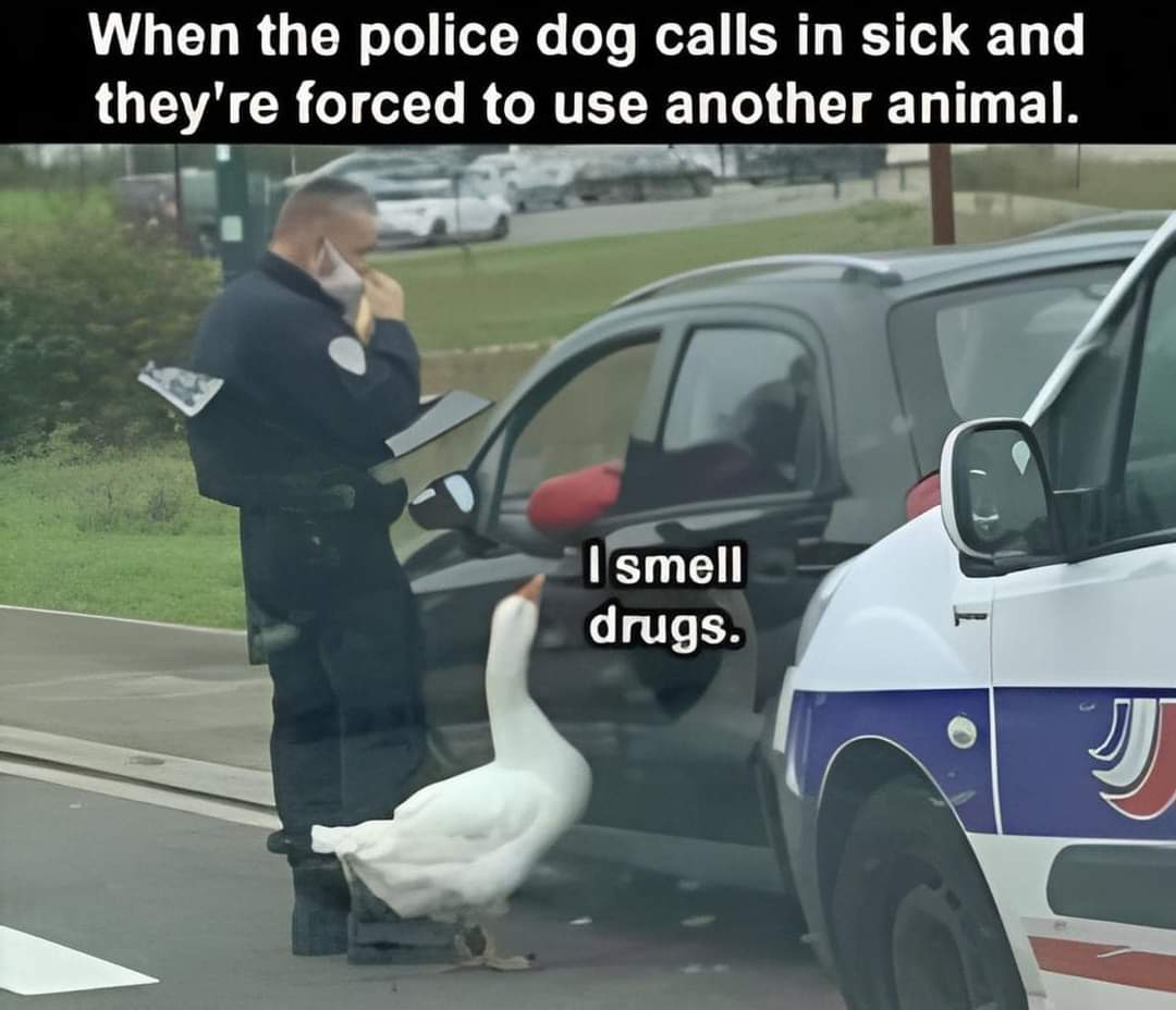 HopeThayer14's tweet photo. @thundacat830  lmao 🤣🤣🤣🤣🤣 https://t.co/Prahom1T02
