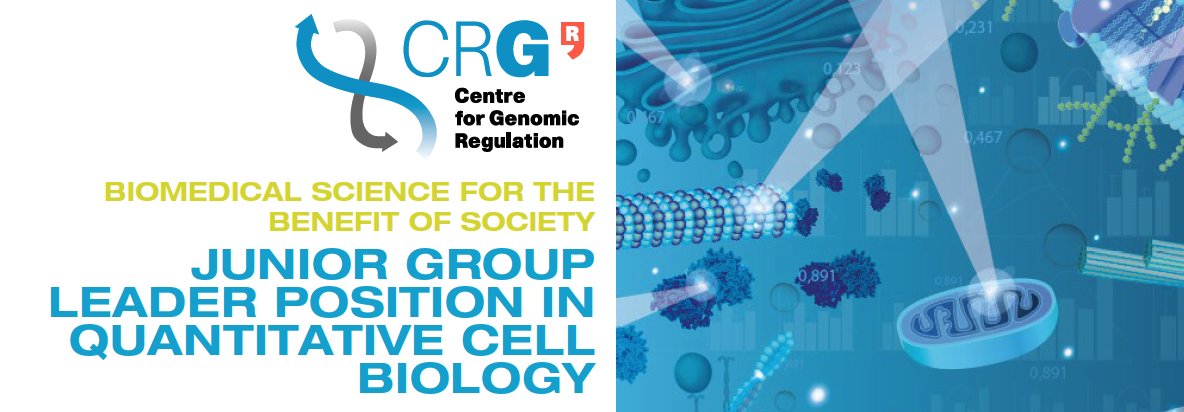 🚀 Join the CRG as a Junior Group Leader in Quantitative Cell Biology! 🧬

We’re seeking passionate leaders to tackle fundamental biological questions using cutting-edge multidisciplinary approaches. Enjoy generous core funding, state-of-the-art facilities, and a collaborative