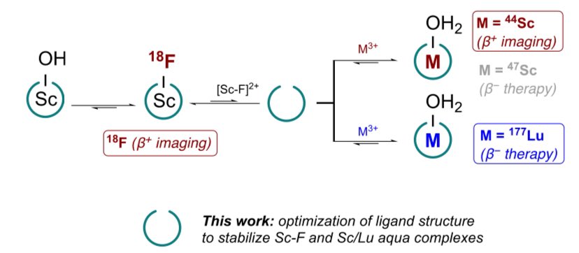 Eszter Boros (@e_boros) on Twitter photo Now out in <a href="/ChemicalScience/">Chemical Science</a>, we study design principles for Sc/Lu/ScF chemistry led by <a href="/CormacKelderman/">Cormac Kelderman</a> and Owen Glaser. We explored structure activity relationships for radiochelation with tools ranging from Sc-45 NMR, DFT to radiochemistry and BioD. pubs.rsc.org/en/content/art… Now out in <a href="/ChemicalScience/">Chemical Science</a>, we study design principles for Sc/Lu/ScF chemistry led by <a href="/CormacKelderman/">Cormac Kelderman</a> and Owen Glaser. We explored structure activity relationships for radiochelation with tools ranging from Sc-45 NMR, DFT to radiochemistry and BioD. pubs.rsc.org/en/content/art…