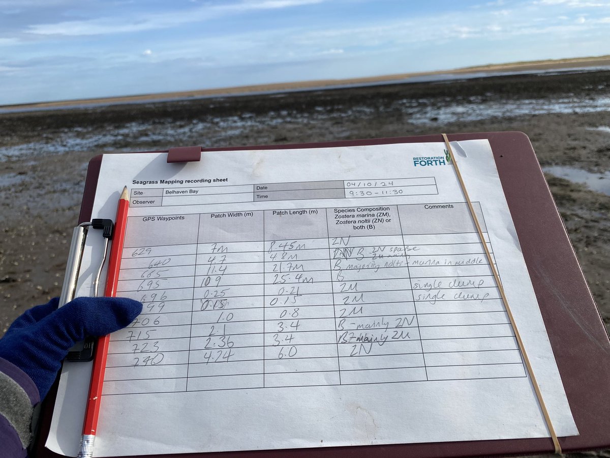 Shona McIntosh (@shonamcin_sgp) on Twitter photo Had a brilliant morning doing some citizen science with <a href="/SeabirdCentre/">Scottish Seabird Centre</a> and #RestorationForth - mapping seagrass meadows at Belhaven Bay. Gorgeous day to be out - over half my layers even stayed in my bag!! Had a brilliant morning doing some citizen science with <a href="/SeabirdCentre/">Scottish Seabird Centre</a> and #RestorationForth - mapping seagrass meadows at Belhaven Bay. Gorgeous day to be out - over half my layers even stayed in my bag!!