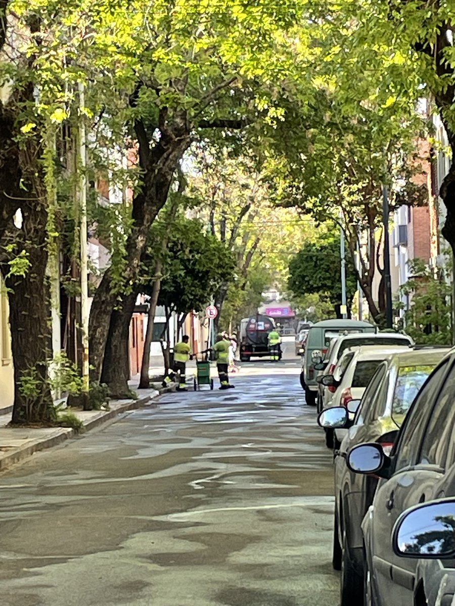 CVALEIRO's tweet photo. @bacomuna7 por qué una vez x semana lavan los pasajes de las artes, el progreso, etc. mientras Centenera es una
Mugre llena de ratas y de basura desperdigada que ningún barrendero barre? https://t.co/tWAY0gE3dT