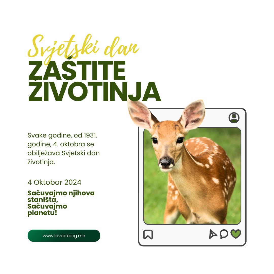 Očuvanjem  staništa, brigom za okolinu, praćenjem stanja velikog broja vrsta, ali i  brigom za svaku pojedinu pronađenu i ugroženu životinju, u našem  lovištu je svaki dan Dan zaštite životinja.
