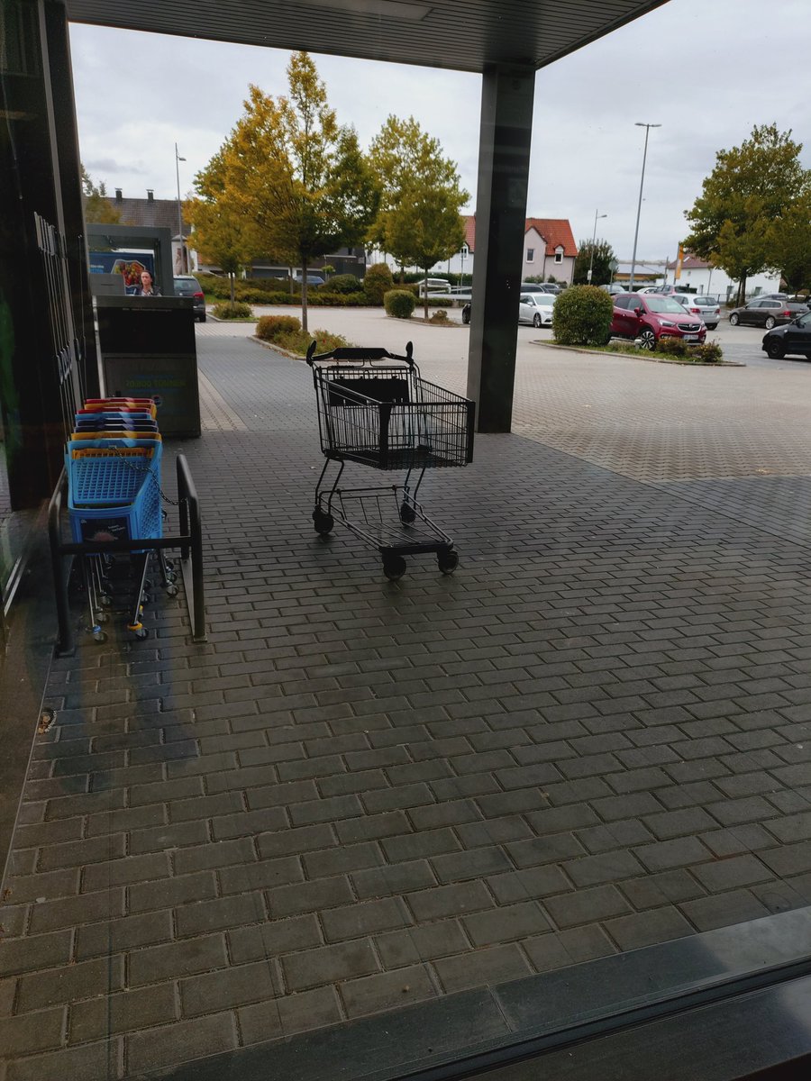 Auch bei Einkaufswagerln gilt die Aufsichtspflicht. Immer ein erwachsenes Wagerl bei den Kleinen!
<a href="/Wagerlkunst/">Einkaufswagenkunst</a> weiß das ja eh.