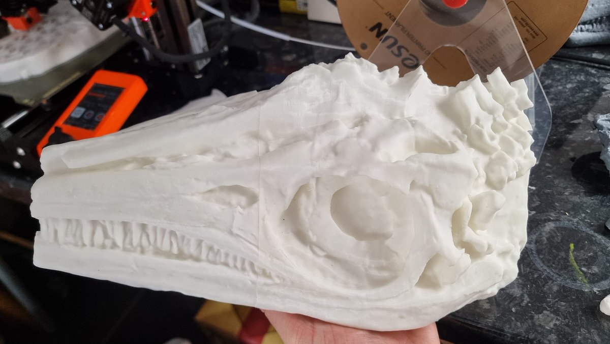 Happy #fossilfriday ! I'm 3D printing a full scale replica of one of our Ichthyosaurs. This will be used for education and outreach within the <a href="/LymeRegisMuseum/">Lyme Regis Museum</a> ! This Ichthyosaur also has intestinal preservation which I'm writing a paper on! #fossils #palaeontology