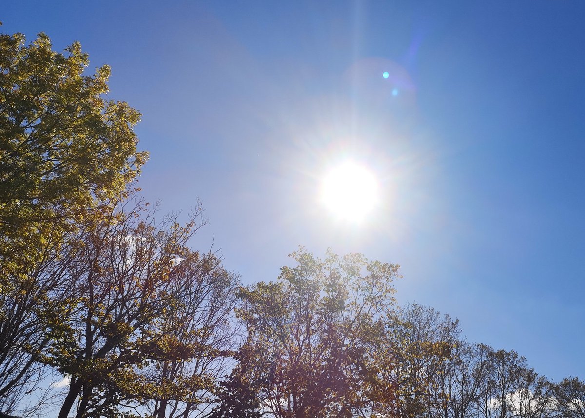 lexitivium's tweet photo. Altså, hva' har man dog gjort, siden man ka' sidde ude i haven i 17° i fuld sol og blå himmel, og så d. 4. oktober?
#LivetErEgentligIkkeSåRingeEndda
#JaTak
#NåhJaOgEnKoldUfiltreretTyskØl
#GodWeekend https://t.co/xWQ1Ow7eKg