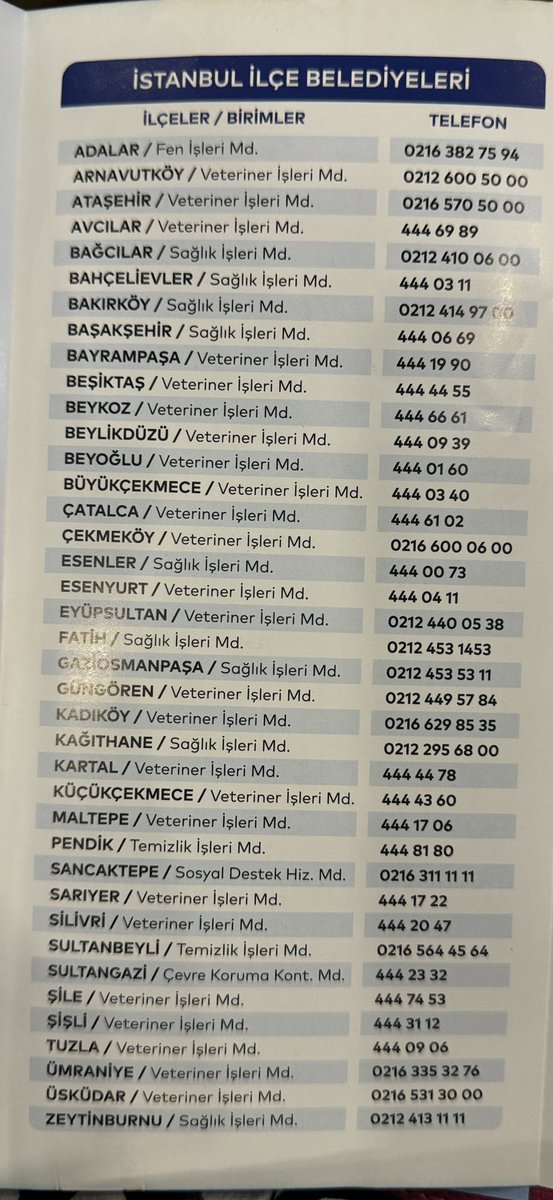 Yasemin Babayigit tweet media