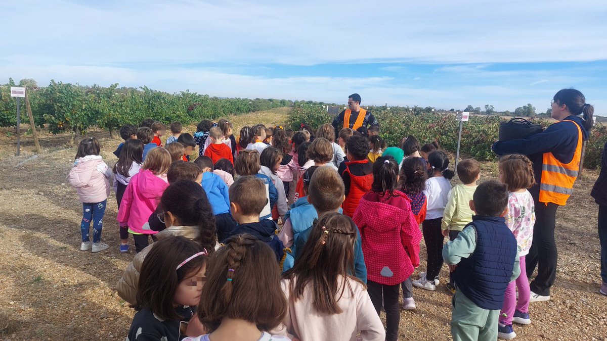 cpsofiatartilan's tweet photo. Hoy los chicos y chicas de 5 años hemos ido a vendimiar a Matallana.

Os dejamos una muestra de lo bien que lo hemos pasado. https://t.co/XvWy5nerg7